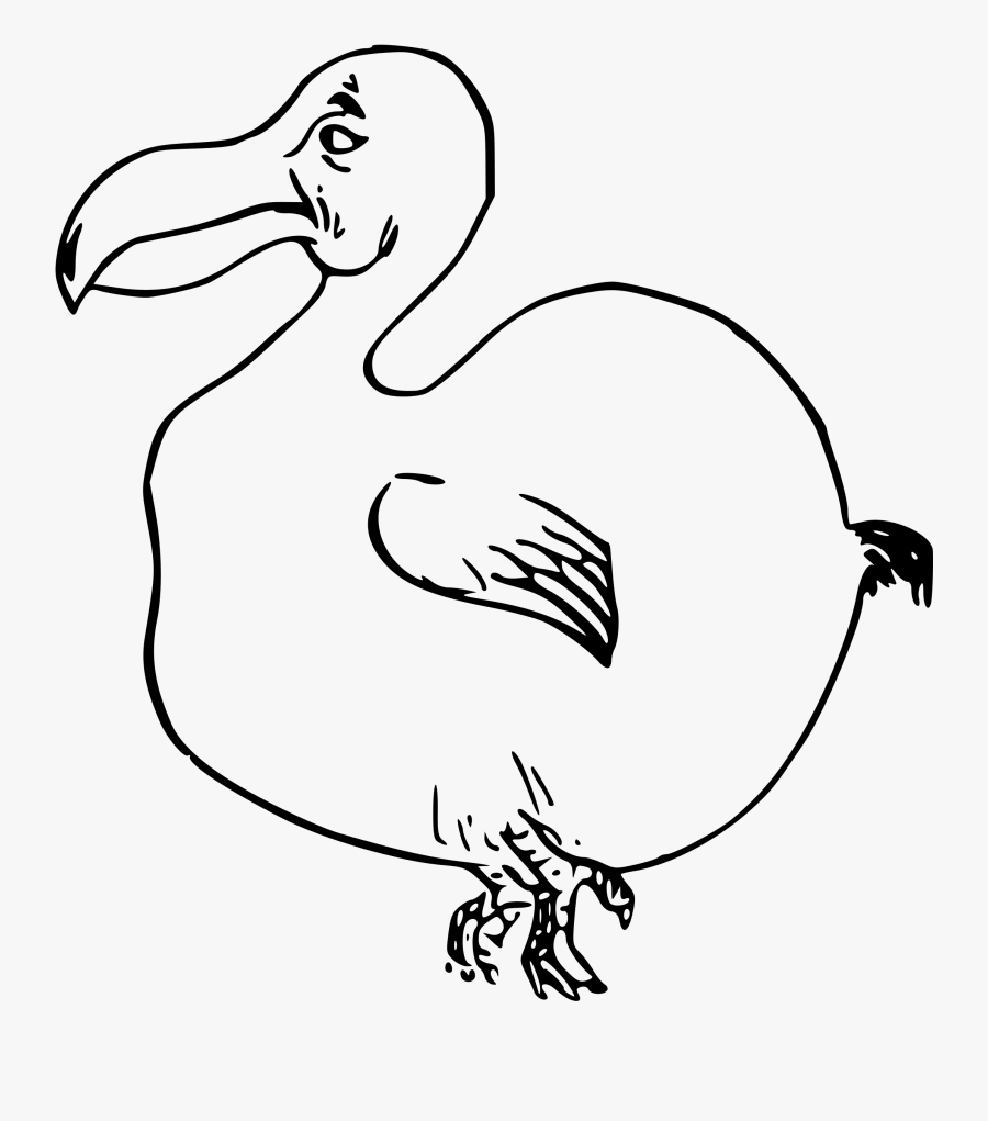 Dodo Bird - Dodo Outline, Transparent Clipart