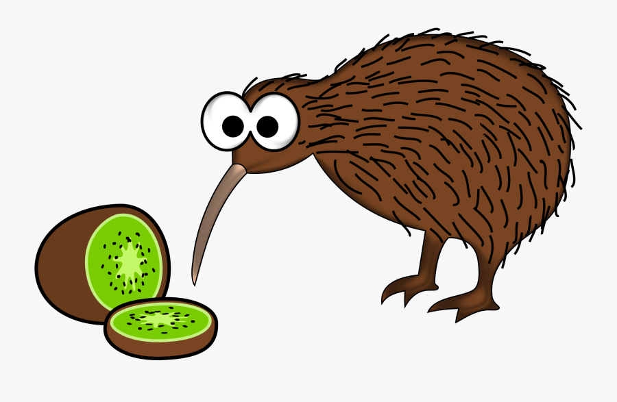 Kiwi Bird Png Clipart - Kiwi New Zealand Cartoon, Transparent Clipart