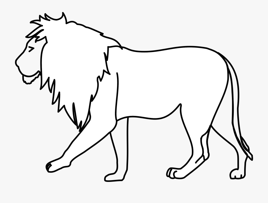 Carnivoran,beak,lion - Line Art Of Lion, Transparent Clipart