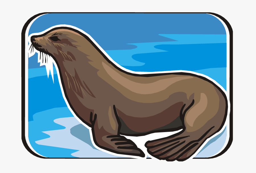 28 Collection Of Sea Lion Clipart - California Sea Lion Clipart , Free