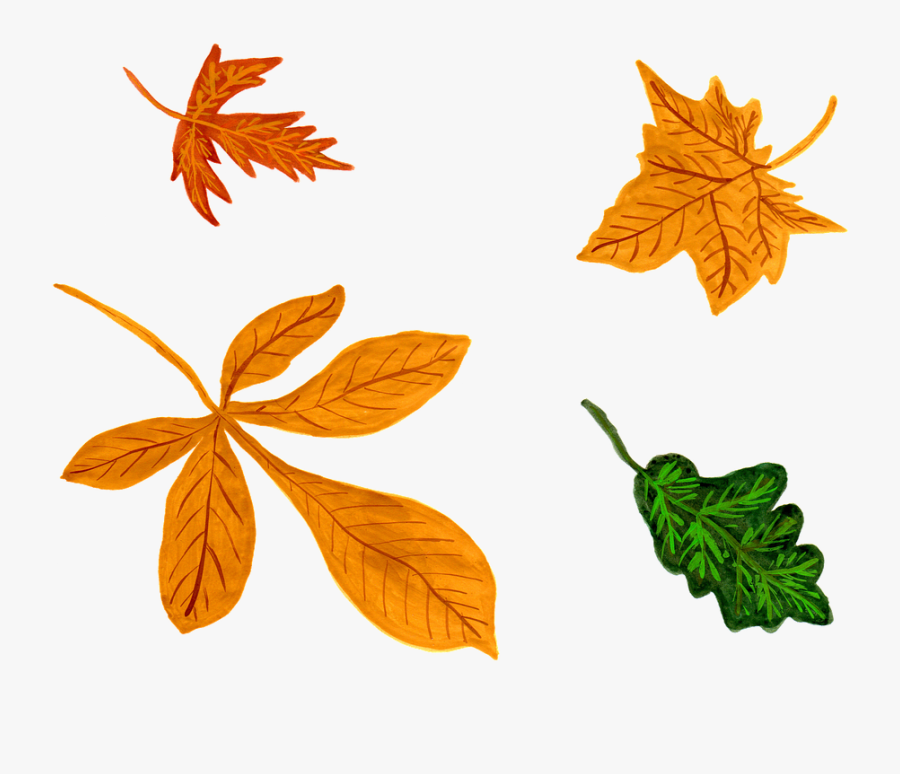 Maple Images - Fall Leaf Watercolor Png, Transparent Clipart