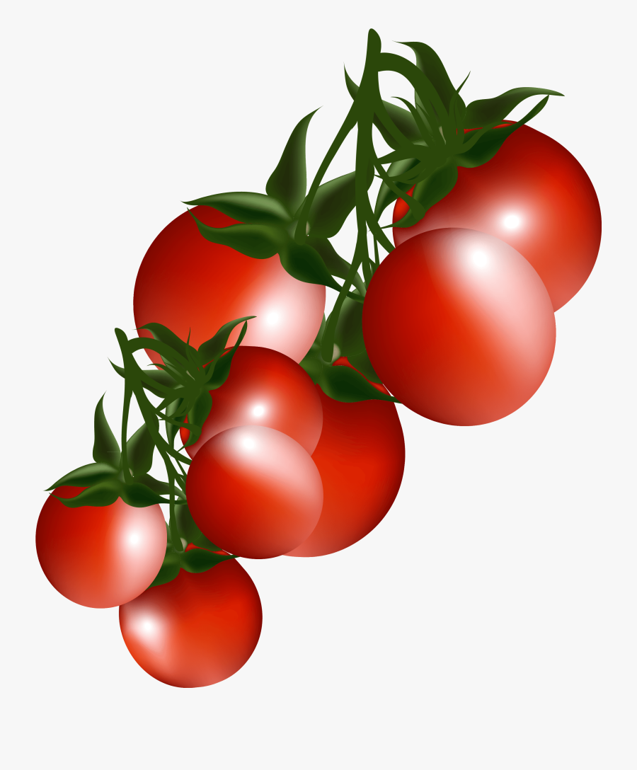 Tomatoes Branch Png Clipart Picture - Cherry Tomatoes Clipart Png, Transparent Clipart