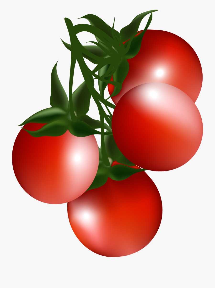 Cherry Tomato Bush Tomato Clip Art - Vegetables Png Pictures Clipart, Transparent Clipart