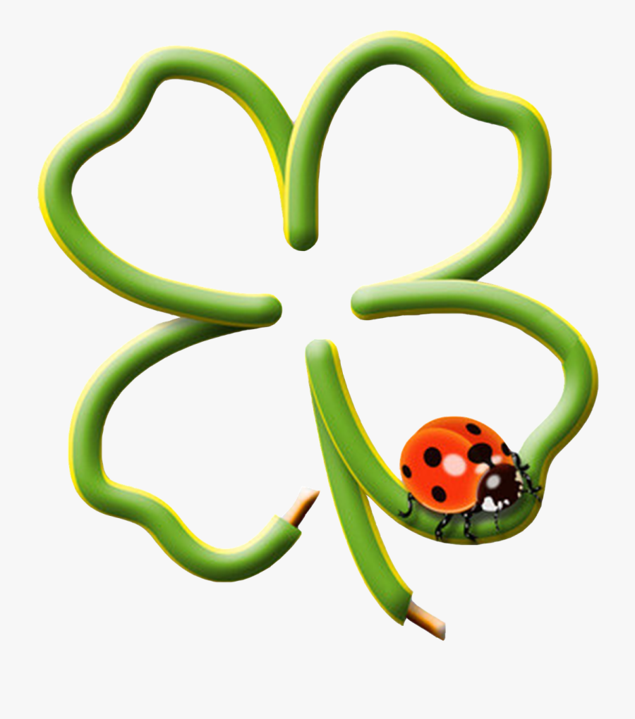 Four Leaf Clover, Wire, Shaped, Luck, Lucky Ladybug - Four Leaf Clover With Ladybug, Transparent Clipart