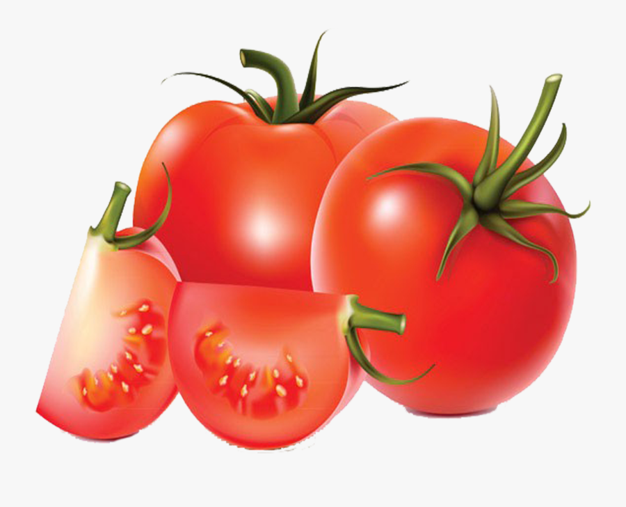 transparent tomato slice png tomato vector slice png free transparent clipart clipartkey transparent tomato slice png tomato