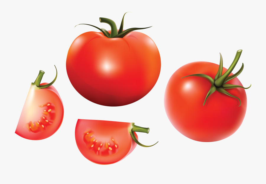 Tomato Vector, Transparent Clipart