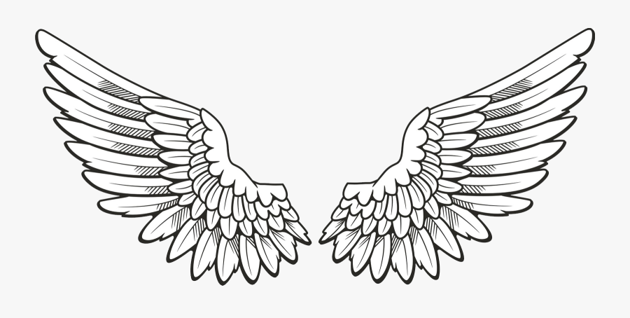 Wings Png Clipart - Angel Wings Drawing , Free Transparent Clipart ...