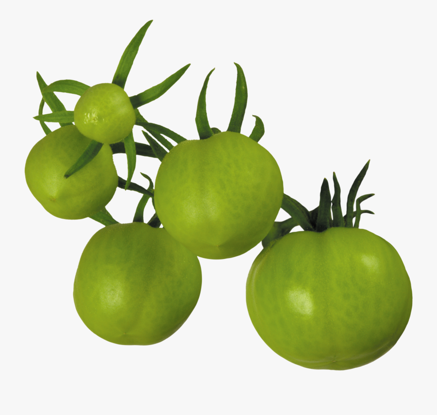 Tomato Png Images Free Download - Transparent Background Vegetable Png, Transparent Clipart
