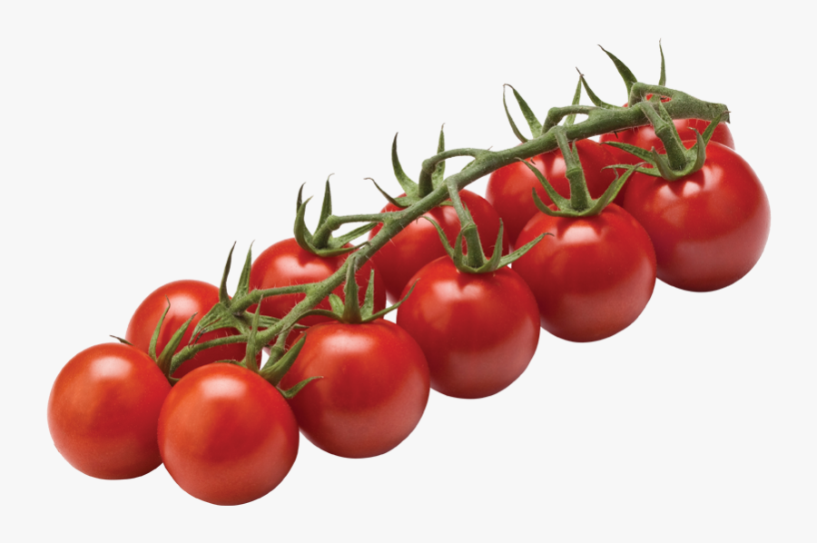 Tomato Cherry On Vine Clipart , Png Download - Tomato Cherry On Vine, Transparent Clipart