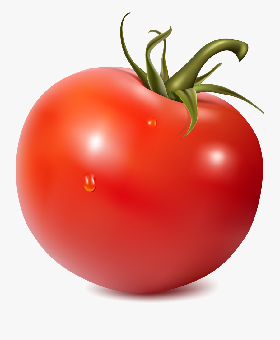 Jpg Royalty Free Stock Tomato Clipart Free - Tomato With No Background, Transparent Clipart