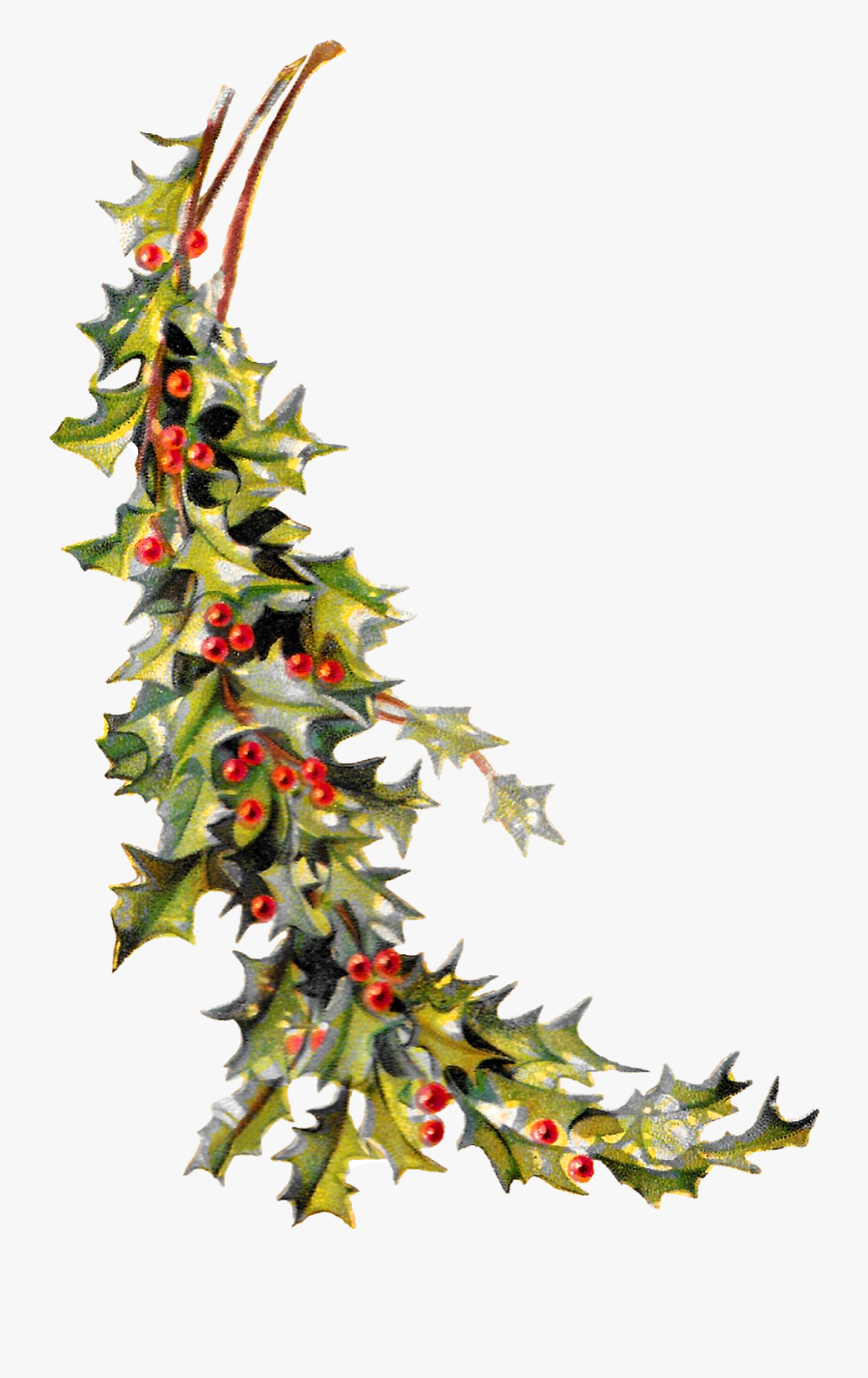 Free Christmas Clipart Holly - Free Vintage Christmas Holly Border Clipart, Transparent Clipart