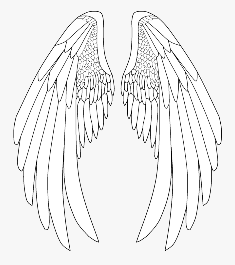 Angel Wings Clipart Elegant - Drawing Anime Angel Wings, Transparent Clipart