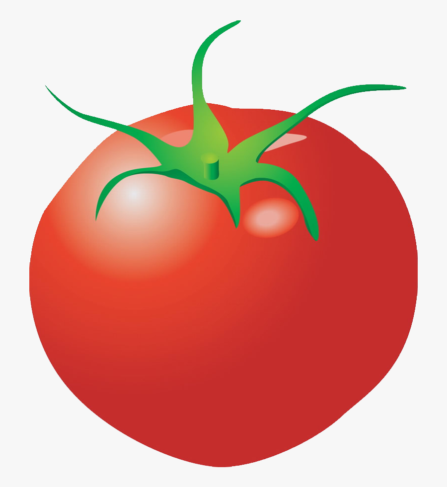 Plum Tomato Cartoon Clip Art - Individual Pictures Of Vegetables, Transparent Clipart