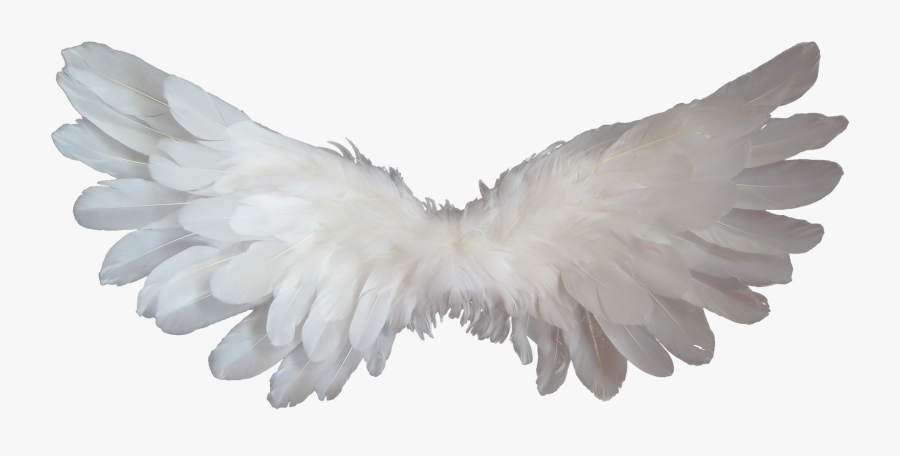 Wings Clipart Heaven - Baby Angel Wings Png, Transparent Clipart