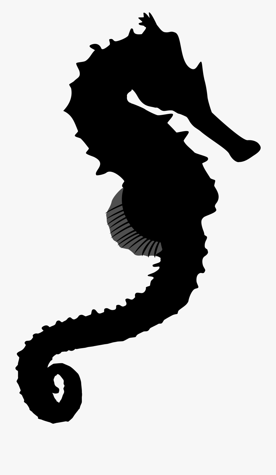 Seahorse Black & White - Illustration, Transparent Clipart