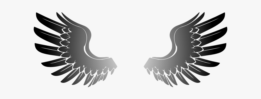 Eagle,neck,wing, Transparent Clipart