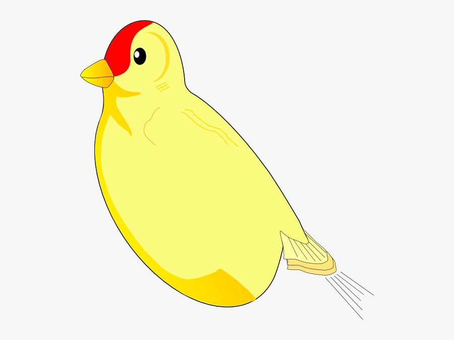 Bird Without A Wing, Transparent Clipart