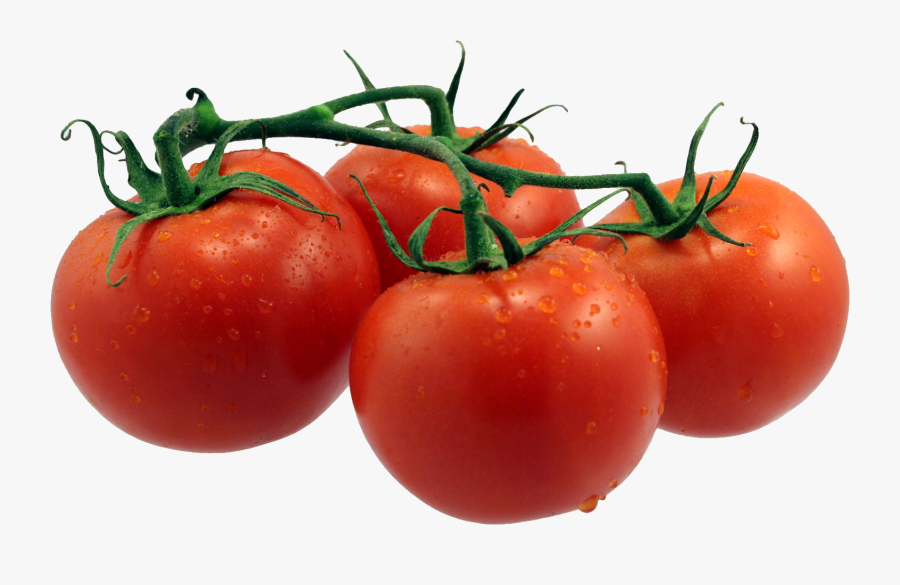 Tomatoes Png - Single Fruits And Vegetables, Transparent Clipart