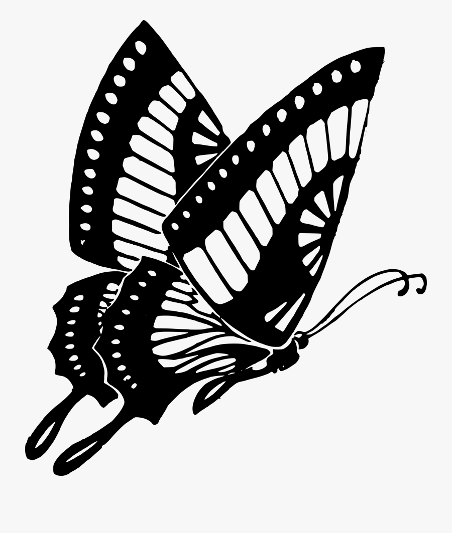 Butterfly Cocoon Drawing At Getdrawings - Butterfly Black And White Png, Transparent Clipart