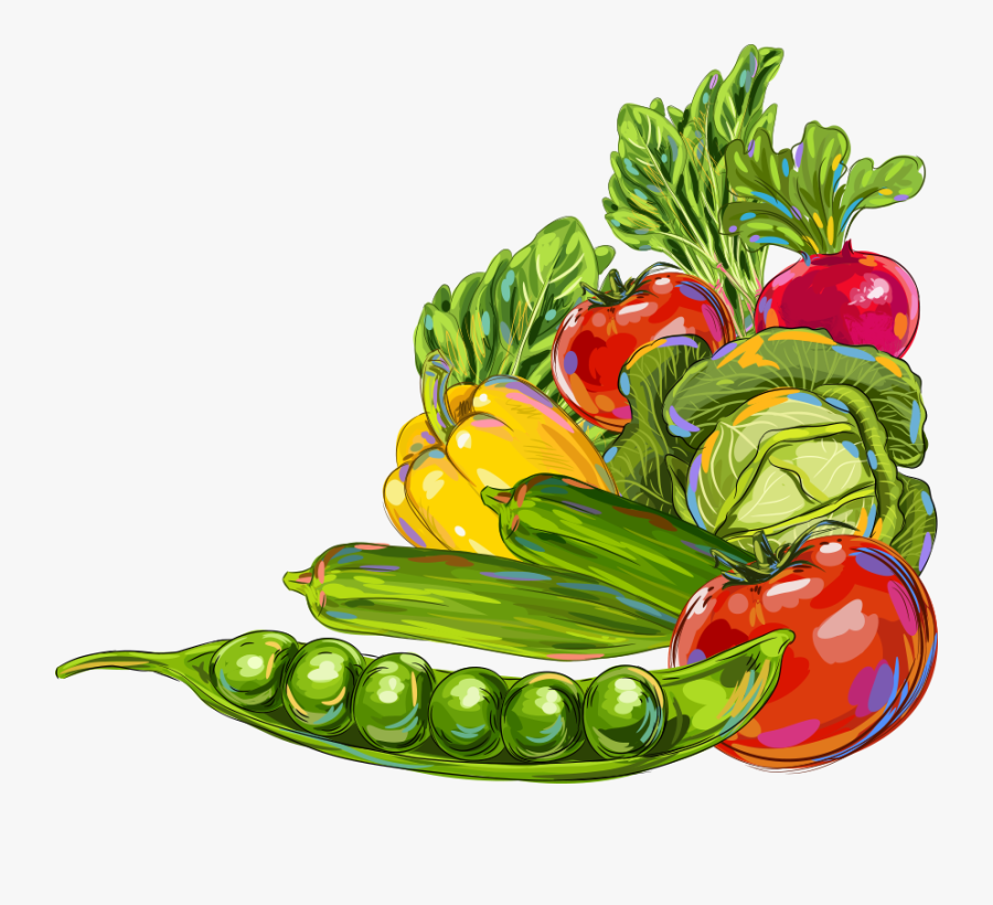 Vegetable Okra Fruit Illustration - Clip Art Fruits And Vegetables Border, Transparent Clipart