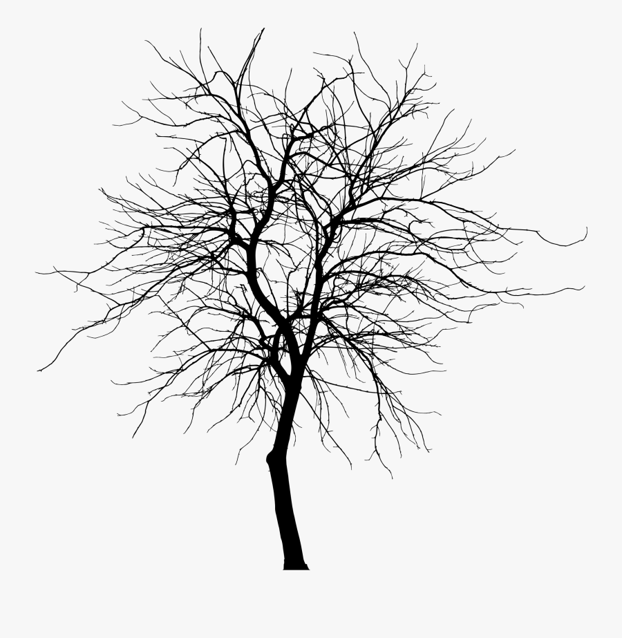 Tree Silhouette Branch Drawing Clip Art - Png Tree Silhouette, Transparent Clipart