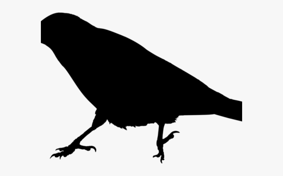 Raven Clipart Raven Bird - Crow Meaning In Hindi, Transparent Clipart