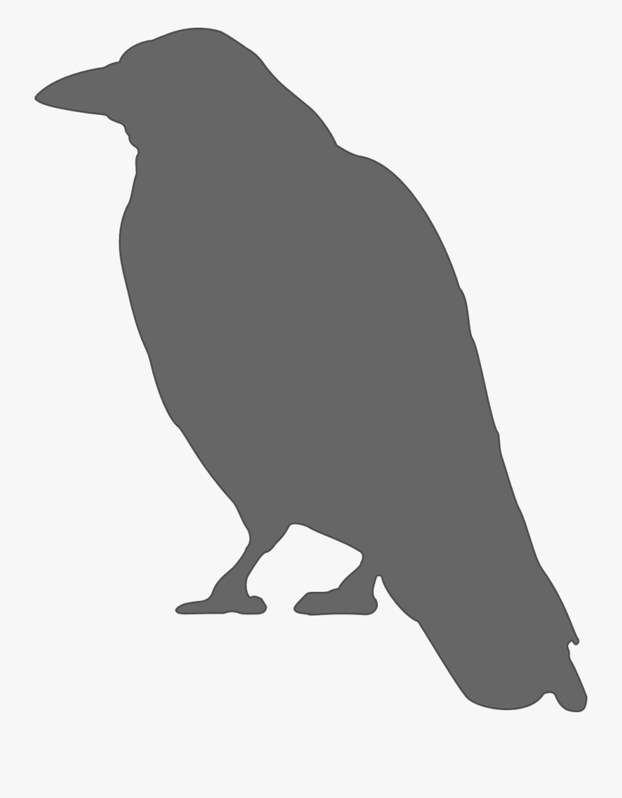 Crow Silhouette, Transparent Clipart