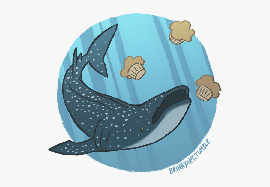 Dory Clipart Whale Shark - Shark Whale Drawing, Transparent Clipart