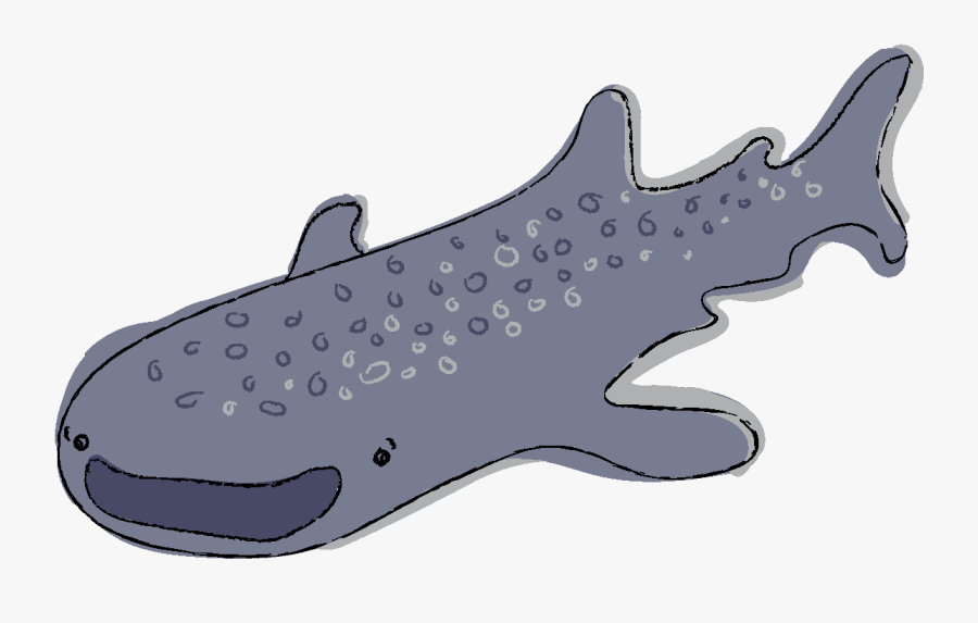 Whale Shark, Transparent Clipart