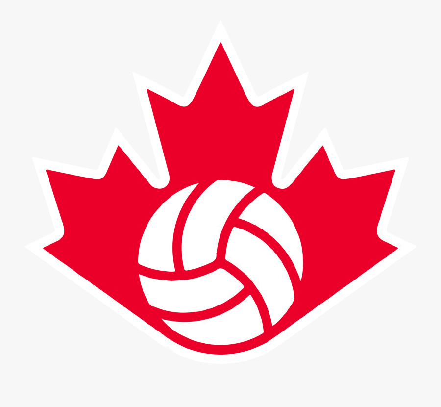 volley logo