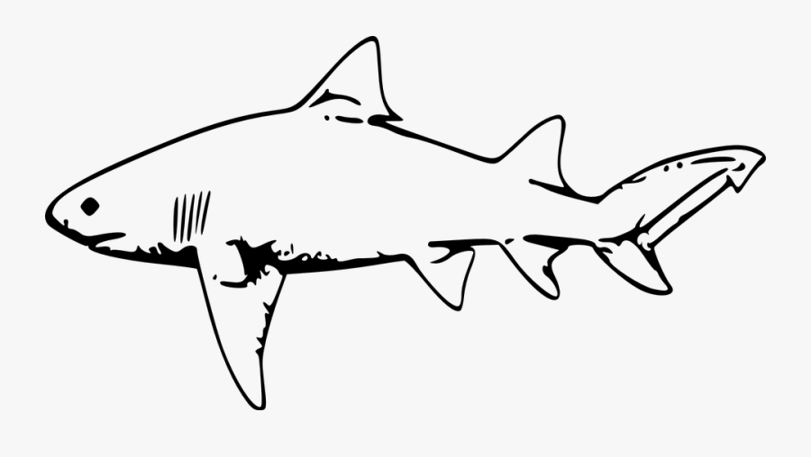 Transparent Cute Shark Clipart - Cliparts Black And White Shark, Transparent Clipart