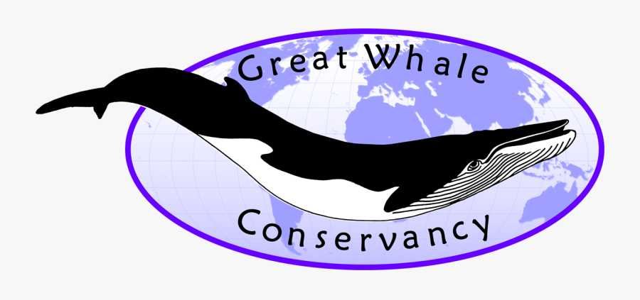 Greatwhaleconservancy - Homossexuality In The World, Transparent Clipart