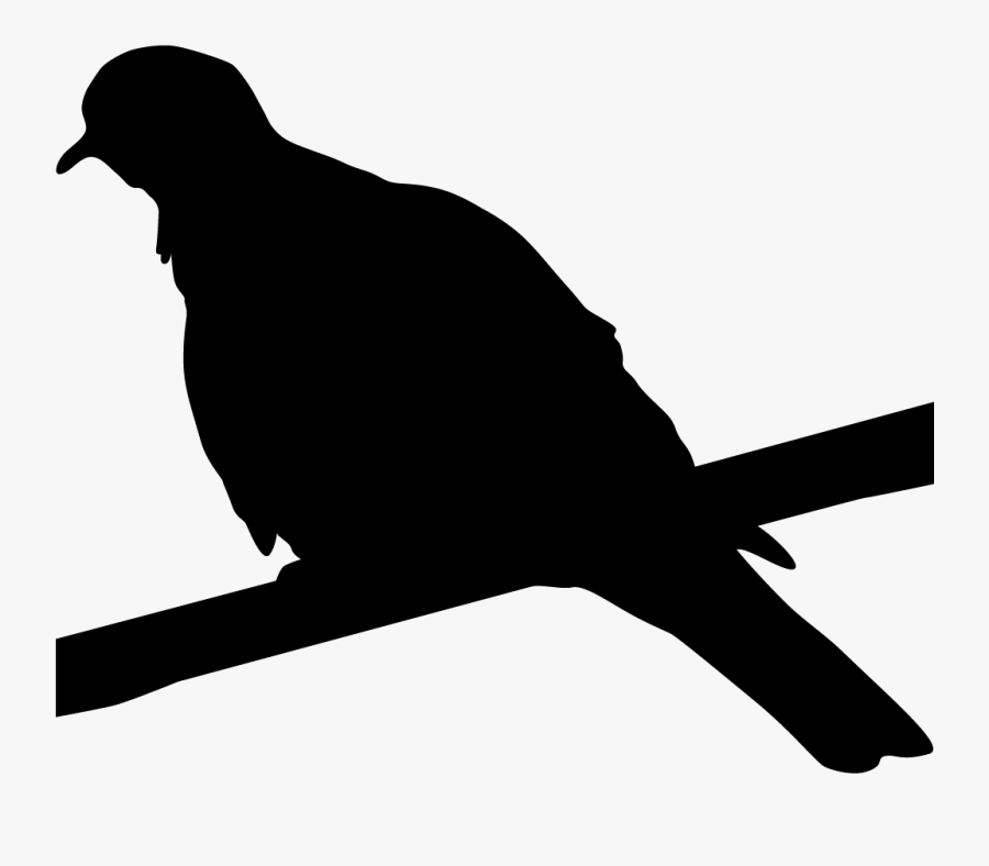 Black White Wing Dove, Transparent Clipart