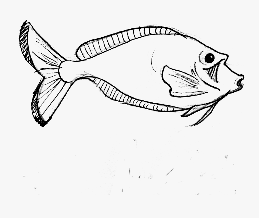 Parrot At Getdrawings - Realistic Art Fish Drawing, Transparent Clipart