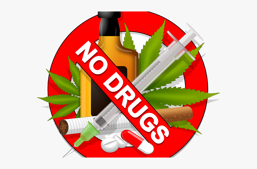 Making Sense Of Drugs - Avoid Alcohol And Drugs, Transparent Clipart