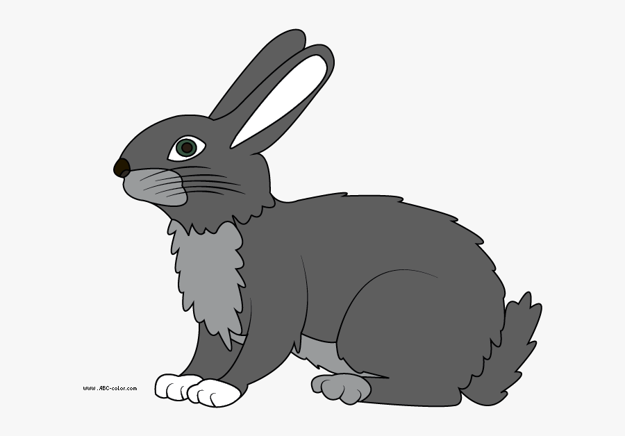 Hare - Clipart - - Hare Clipart, Transparent Clipart