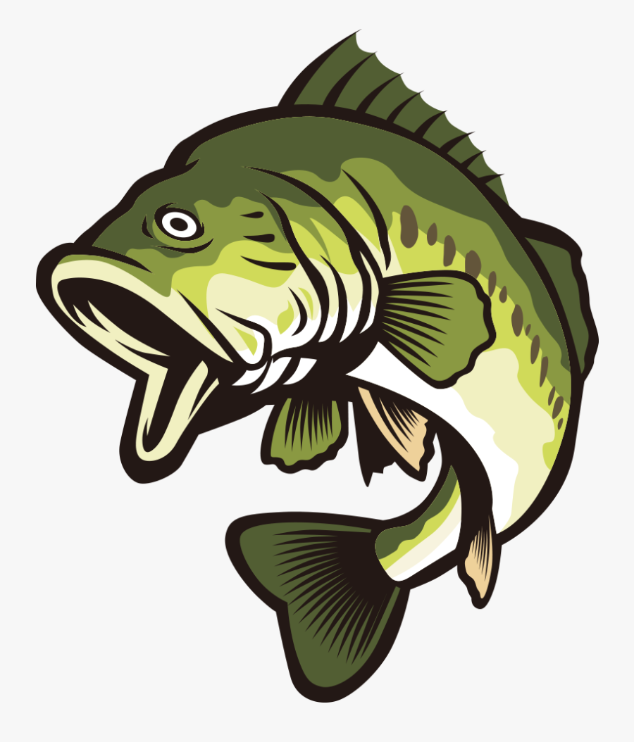 Bass Vector Fish - Largemouth Bass Clipart, Transparent Clipart
