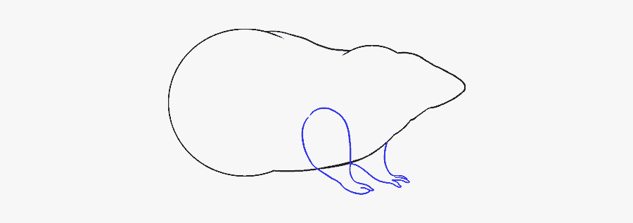 How To Draw Rat - Sketch, Transparent Clipart