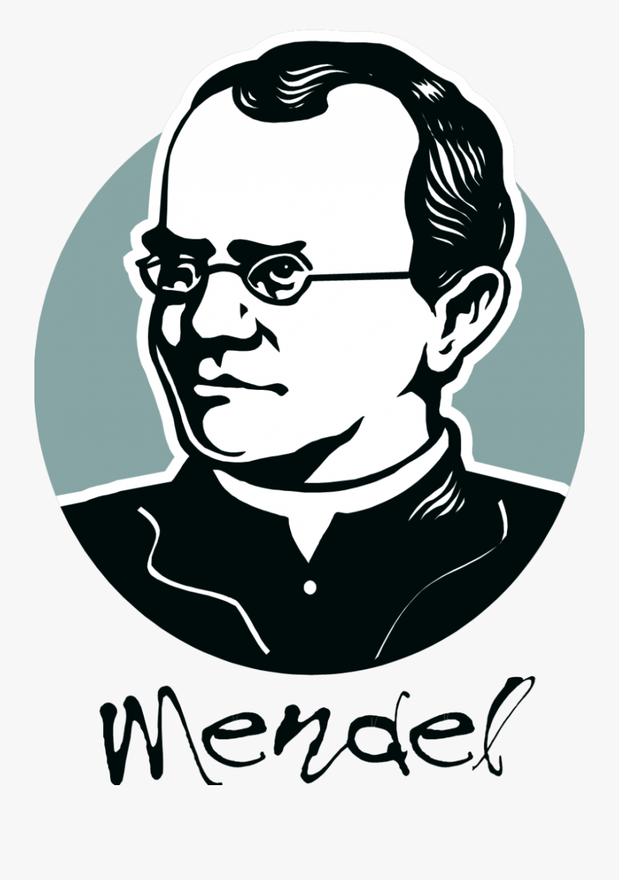 Humor - Gregor Mendel Easy Drawing, Transparent Clipart