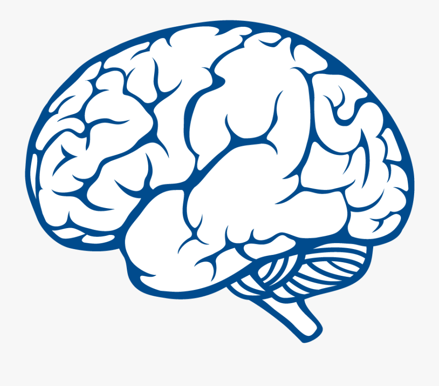 Brain Clipart Dementia - Colouring Pages Of Brain, Transparent Clipart