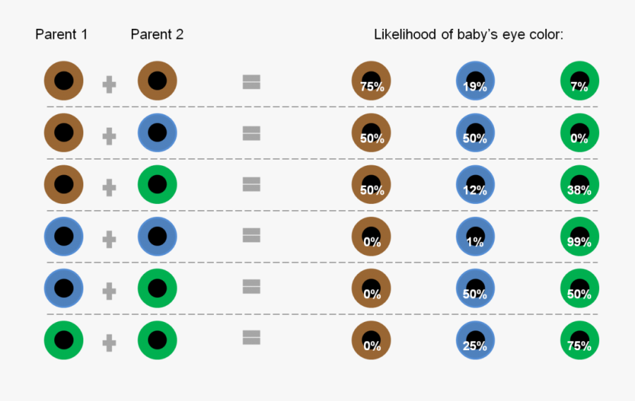 Clip Art Baby Eye Color Chart, Transparent Clipart