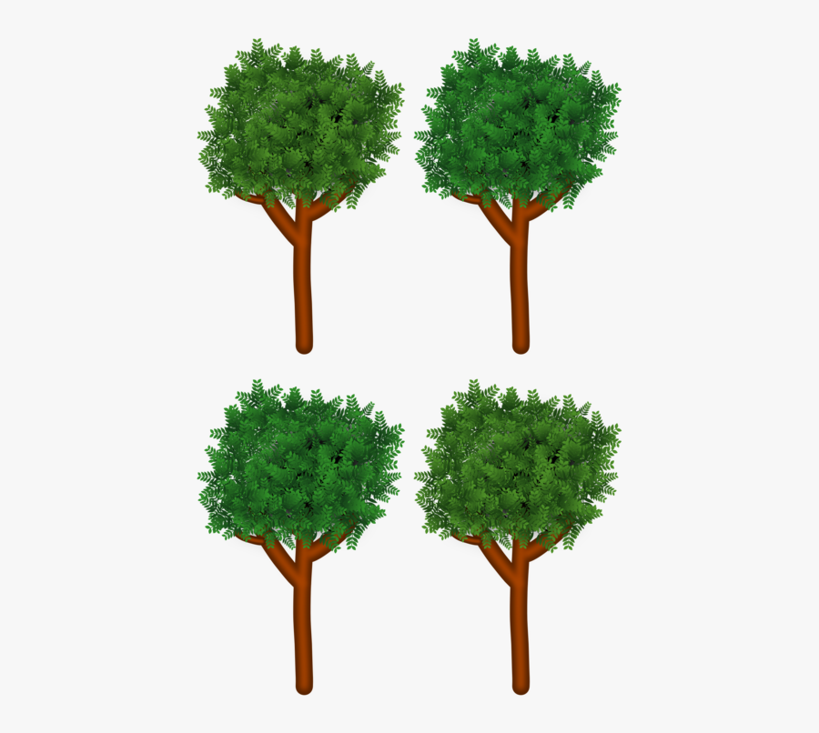 Evergreen,plant,shrub - Post Oak, Transparent Clipart
