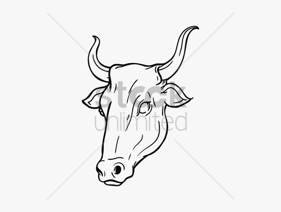 Cattle Bull Drawing Black And White Clip Art - Ox Face, Transparent Clipart