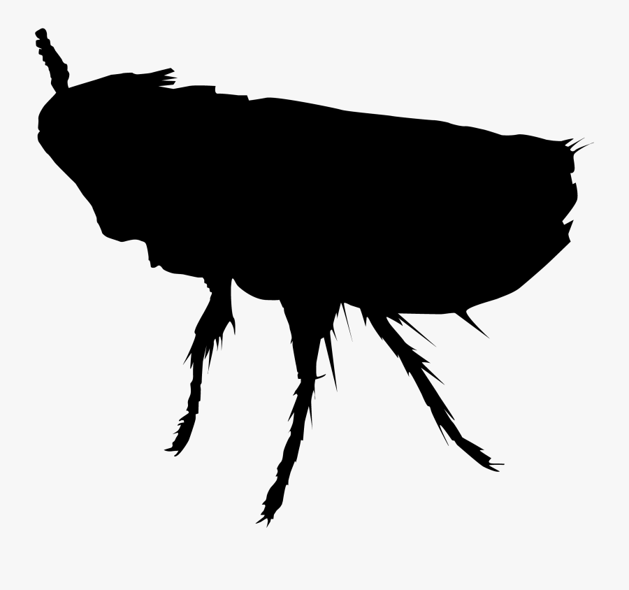 Perth Insect Rat Cockroach Pest - Silhouette, Transparent Clipart