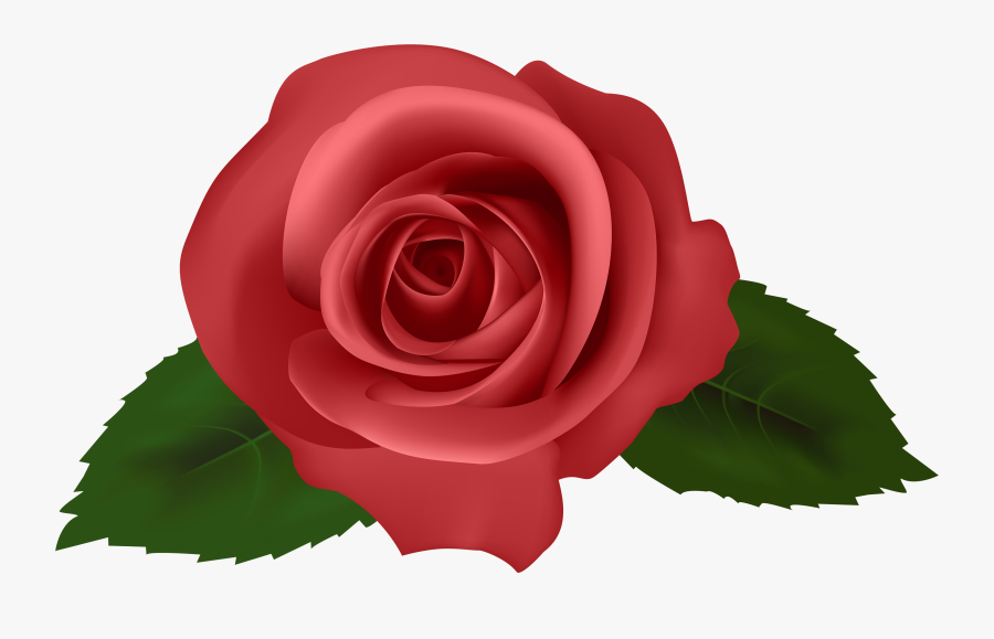 Rose Red Png Clipart - Full Hd Rose Flower, Transparent Clipart