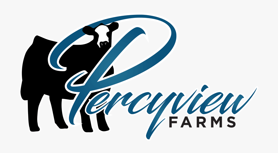 Show Cattle Logo Design Rieger Ranch - Show Cattle Logos, Transparent Clipart