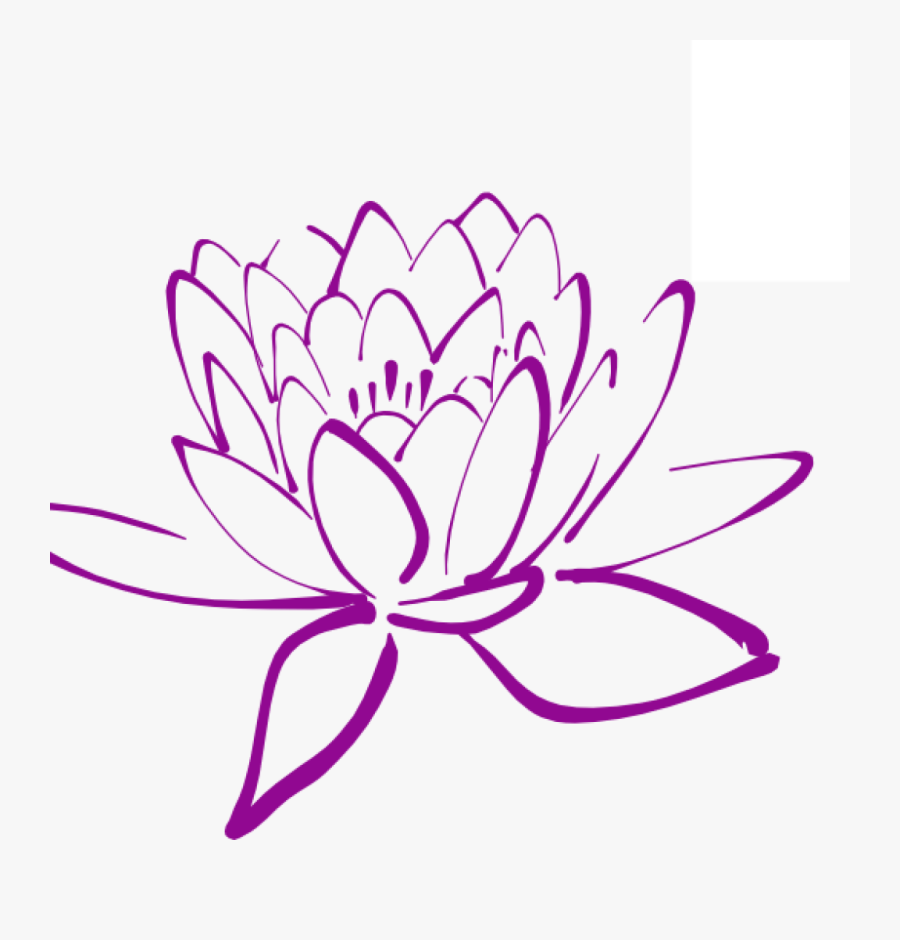 Magnolia Clipart - Water Lily Clipart Black And White , Free ...