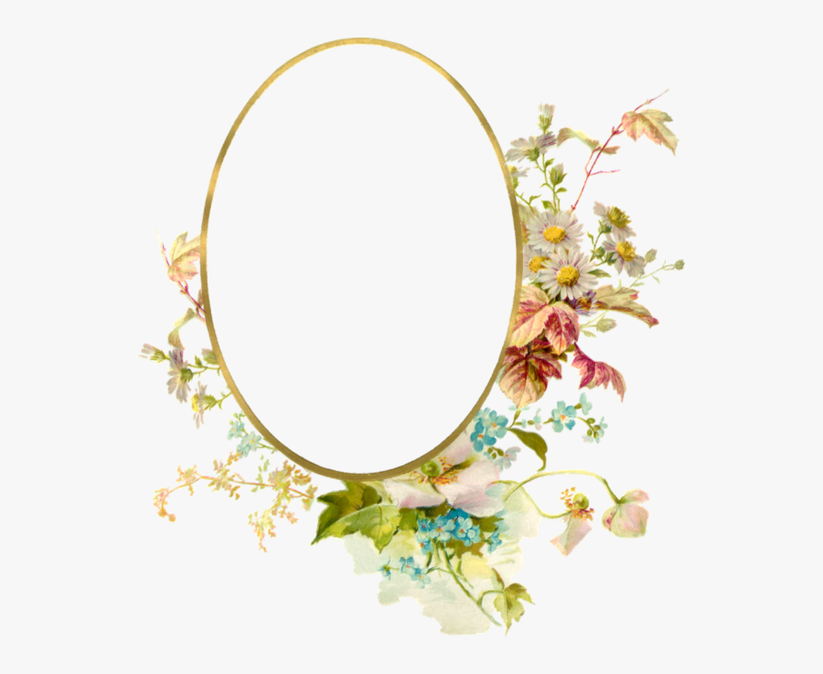 Flower Vintage Frame - Flower Vintage Frames Png, Transparent Clipart