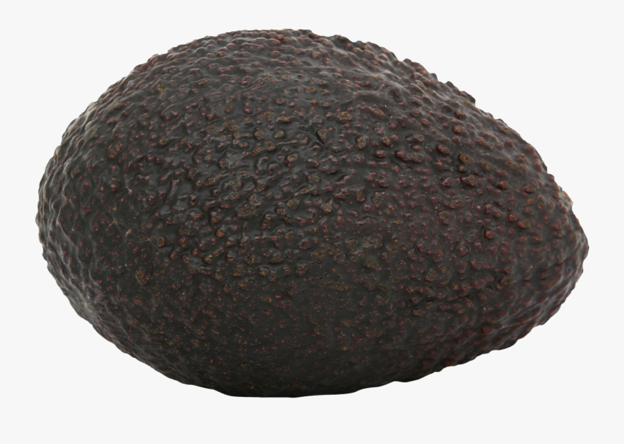 Avocado Png - Ripe Avocado Png, Transparent Clipart