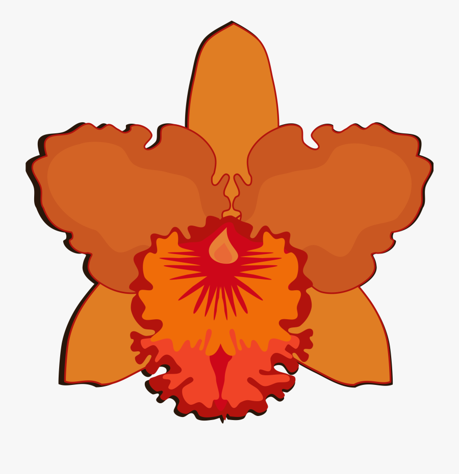 Transparent Vanilla Extract Clipart - Cattleya Flower Design, Transparent Clipart